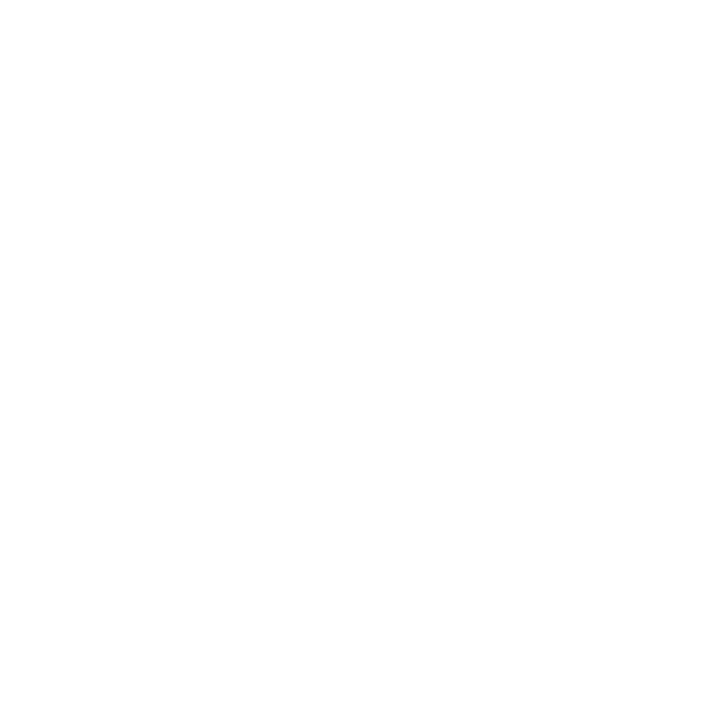 Logo Meister Schuhmann Installation